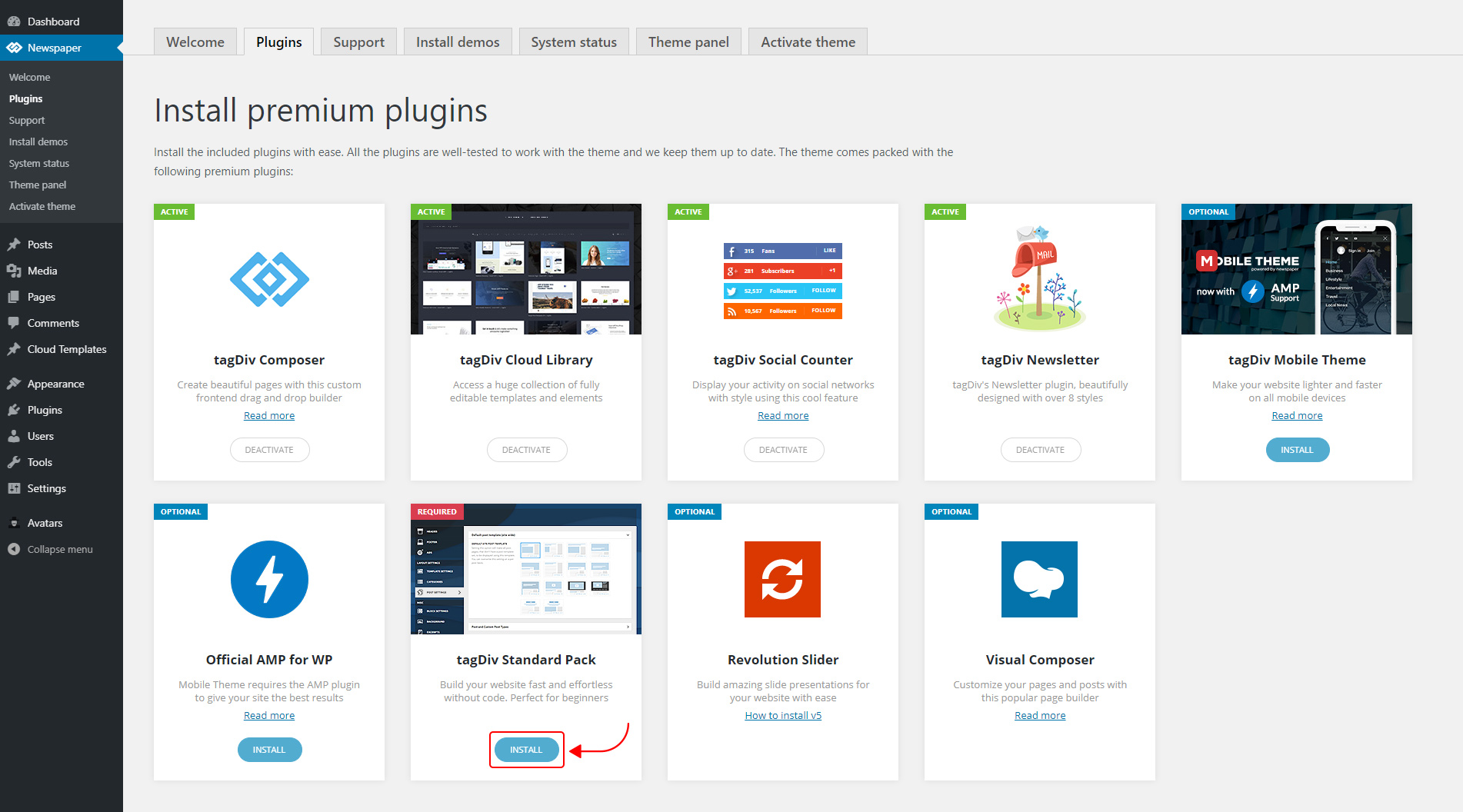 Newspaper Theme 10 - Activating the Standard Pack Plugin